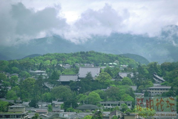 2006817112557644[1].jpg